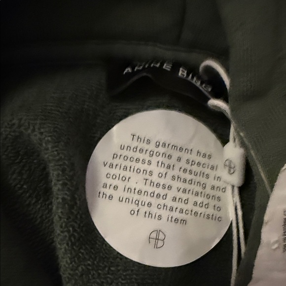 Anine Bing Forest Green Hoodie - Picture 8 of 14